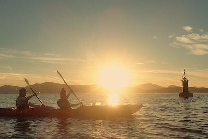 Sunset Dolphin Kayak Tour at Golfo Aranci