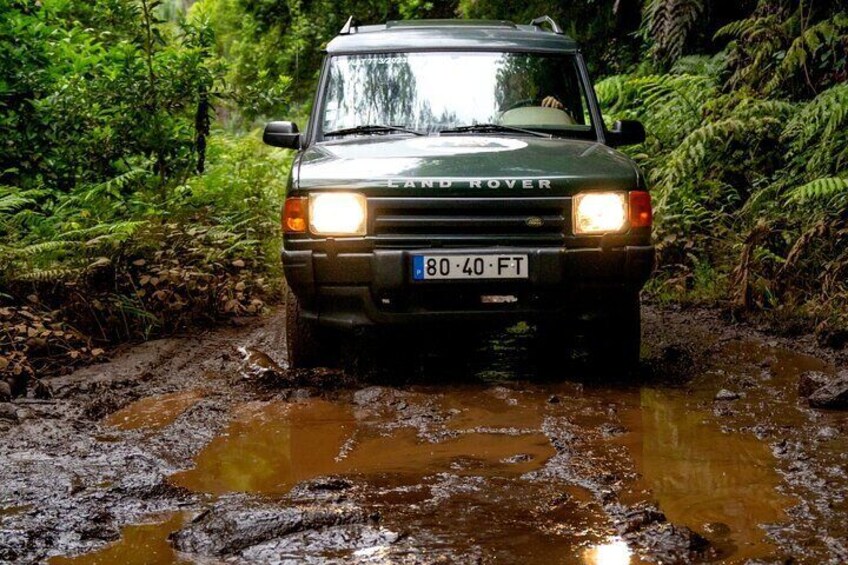 Unveil West Madeira: 4x4 Cliffs, Pools & Views