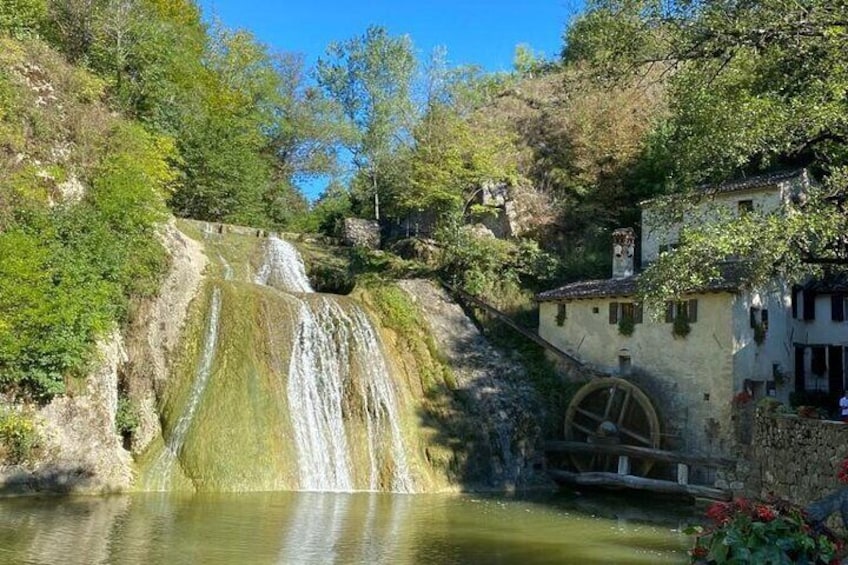 Private Full Day Cheeses and Gins Tour in the Prosecco hills