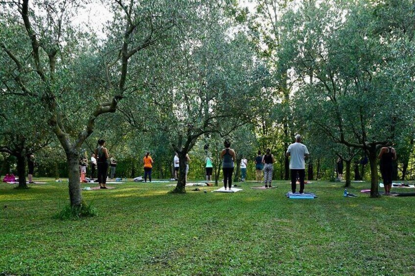 Private Full Day Tour and Yoga of the Prosecco Hills 