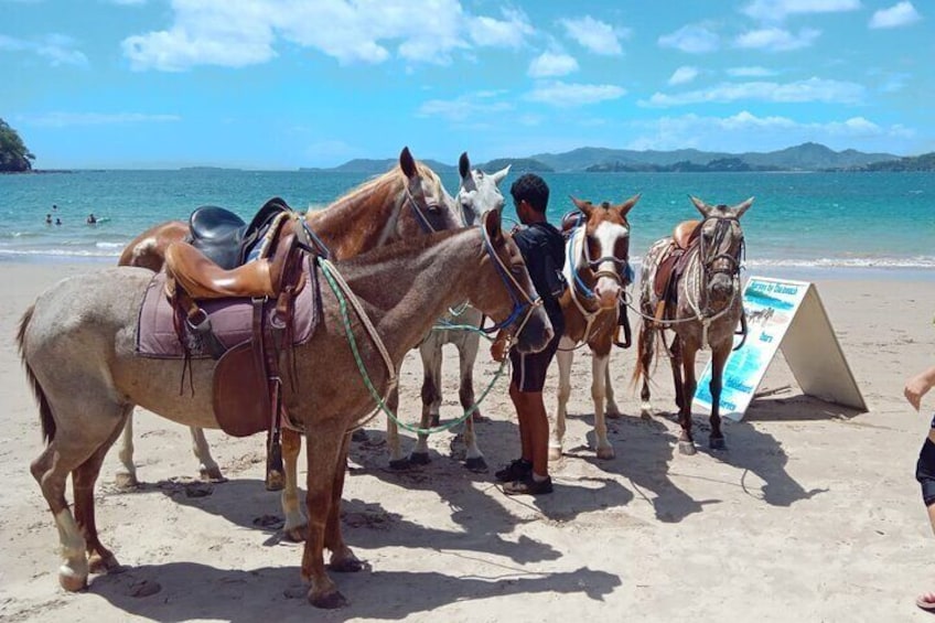 Private Horseback Tour in Playa Conchal