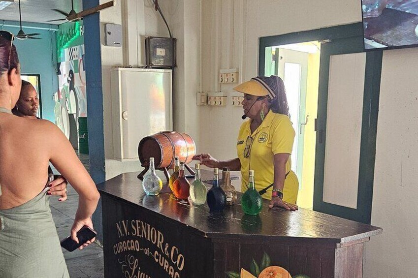 Curaçao City and Beach Tour