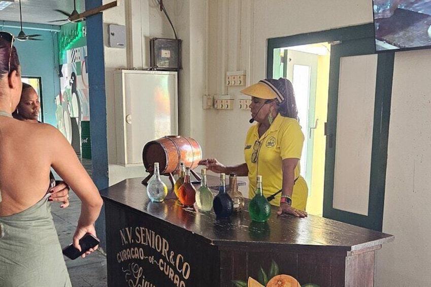 Curaçao City and Beach Tour