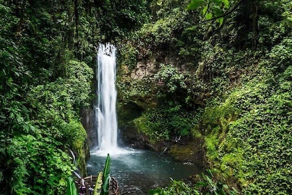 La Paz Waterfall Gardens Nature Park Full-Day Tour
