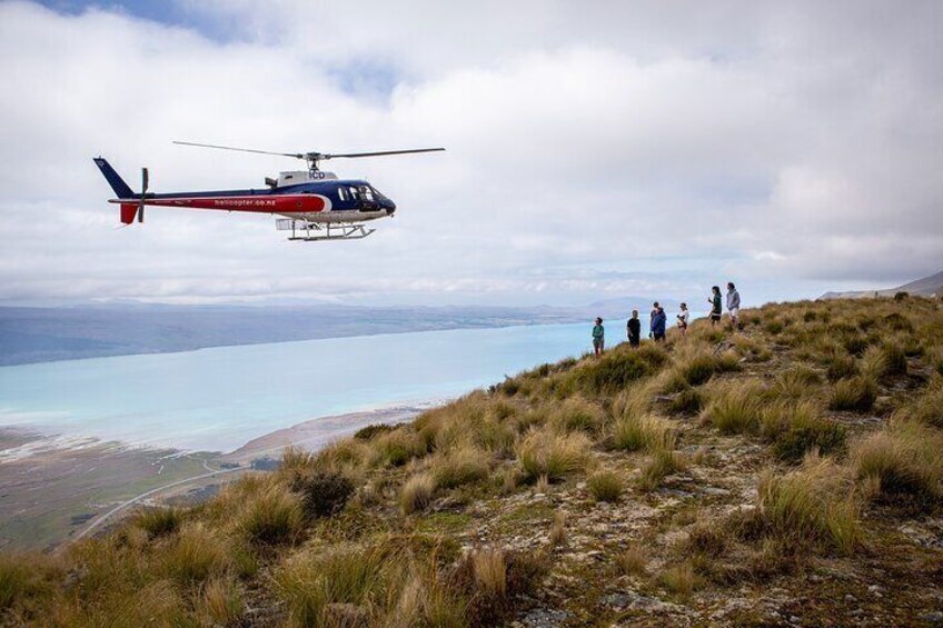 Experience an exhilarating alpine landing high above Glentanner Station, where you will begin your hike!