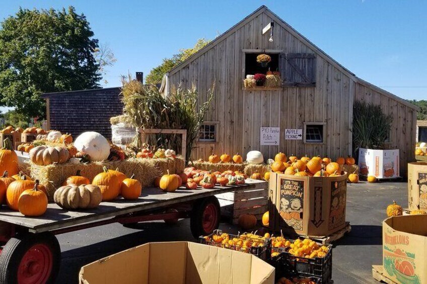 local farm in Smithfield, Rhode Island