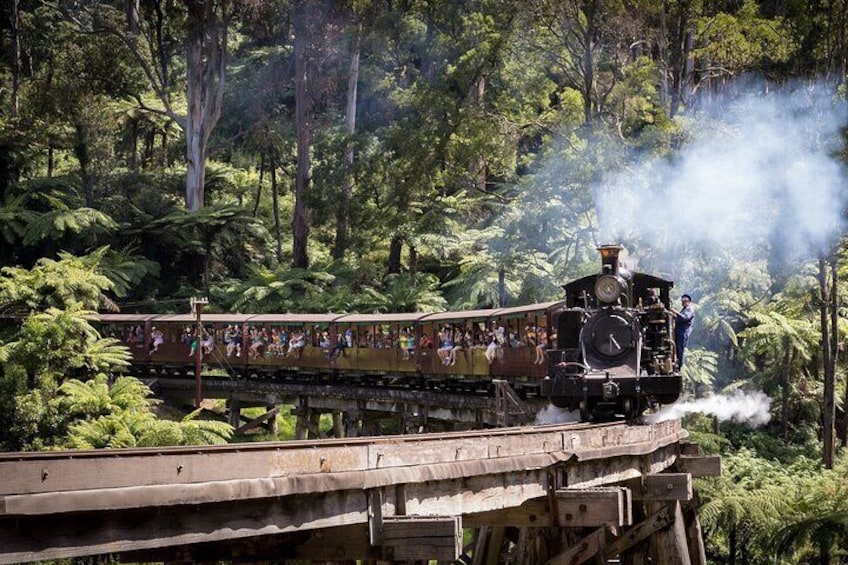 1 day Puffing Billy Steam Train and Wildlife Tour from Melbourne