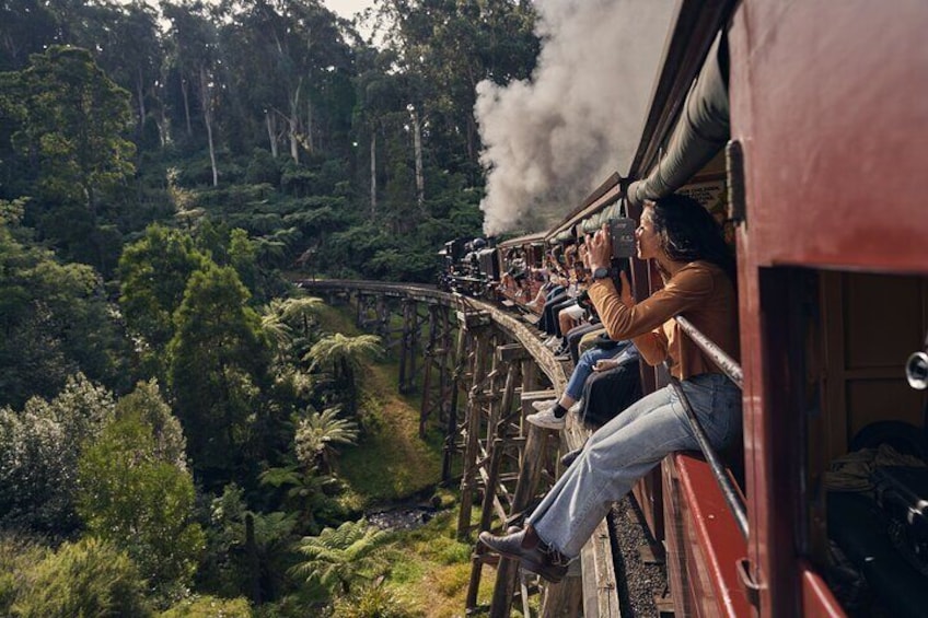 1 day Puffing Billy Steam Train and Wildlife Tour from Melbourne