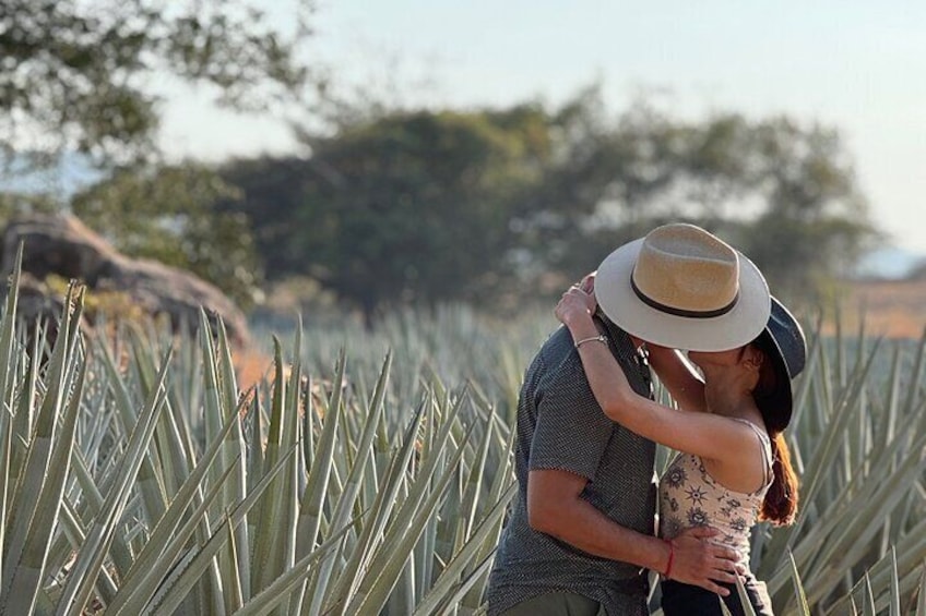 Full Day in Tequila with Tasting and party in Cantaritos