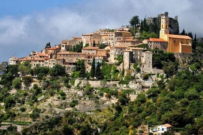 GUIDED TOUR: departure of cruises: Eze, Monaco, Monte Carlo