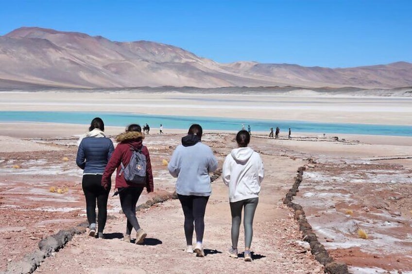 Full Day Tour to Piedras Rojas, Altiplanic Lagoons and Chaxa