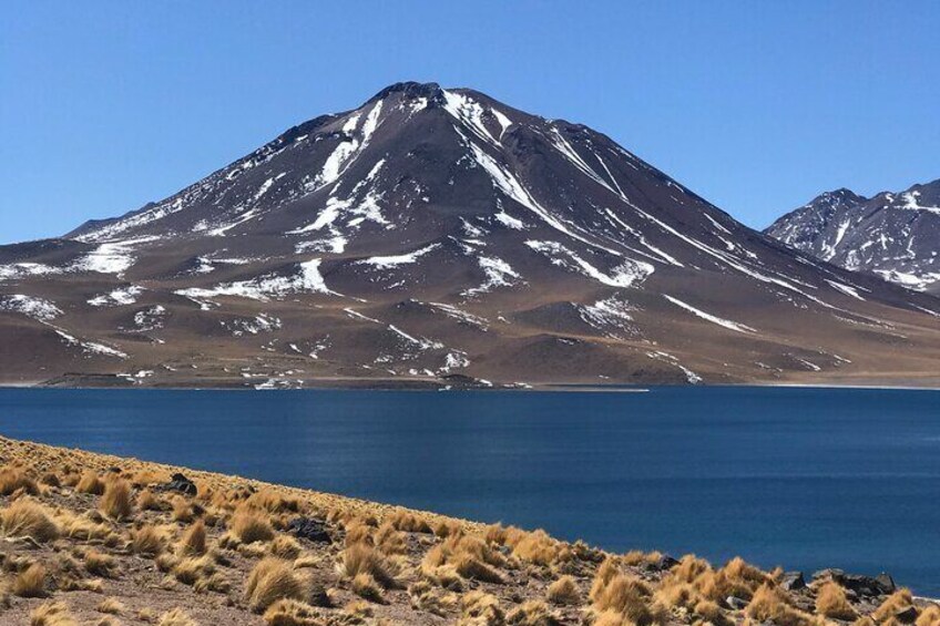 Full Day Tour to Piedras Rojas, Altiplanic Lagoons and Chaxa