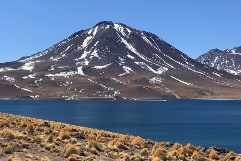 Full Day Tour to Piedras Rojas, Altiplanic Lagoons and Chaxa