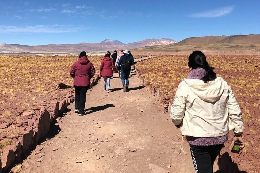 Full Day Tour to Piedras Rojas, Altiplanic Lagoons and Chaxa