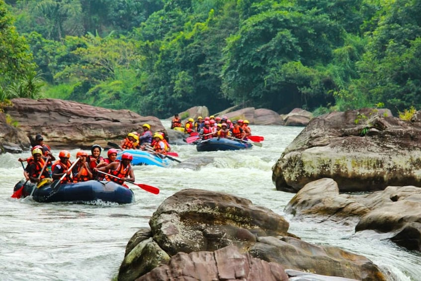 Picture 4 for Activity White Water Rafting in Kitulgala