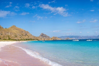Pink Beach Lombok snorkelling & Day Trip Departure from Lombok