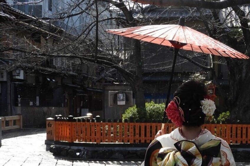  2 Hour Walking Historic Gion Tour in Kyoto Geisha Spotting Area