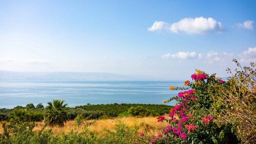 Au départ de Tel Aviv : Excursion d'une journée en Galilée