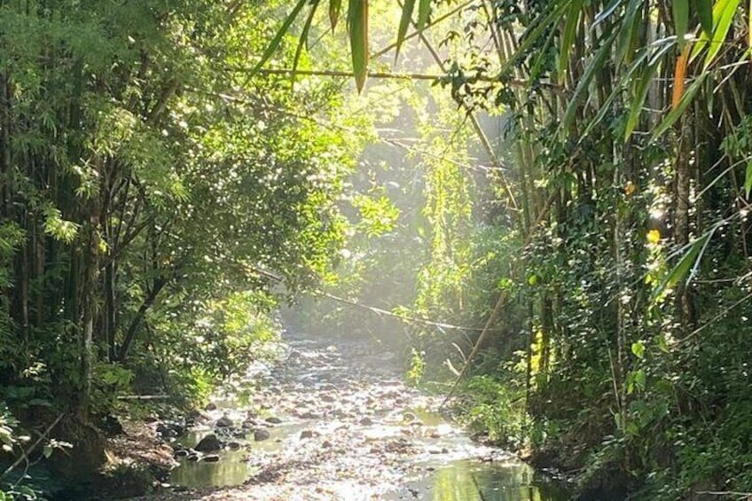 Maricao River