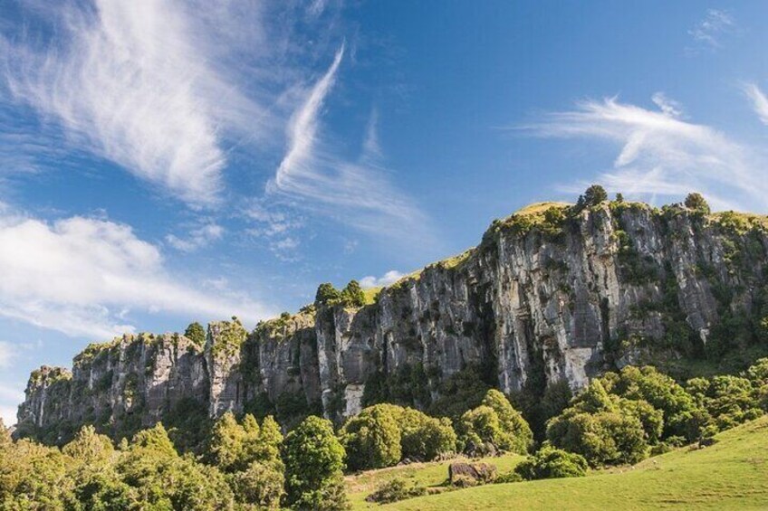 12-Hour LOTR Trollshaws & Waitomo Glowworm Tour in New Zealand