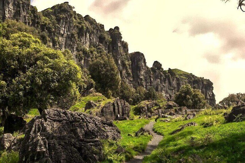 12-Hour LOTR Trollshaws & Waitomo Glowworm Tour in New Zealand