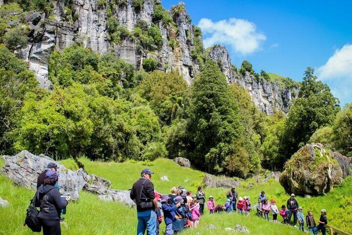 12-Hour LOTR Trollshaws & Waitomo Glowworm Tour in New Zealand