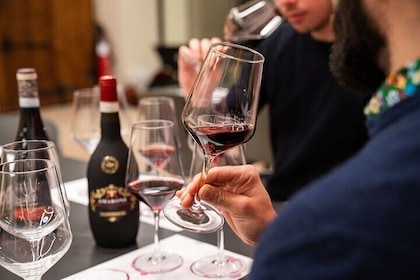 Pagus Wine Tours® - Amarone wine bus from Verona - 2 hours tour