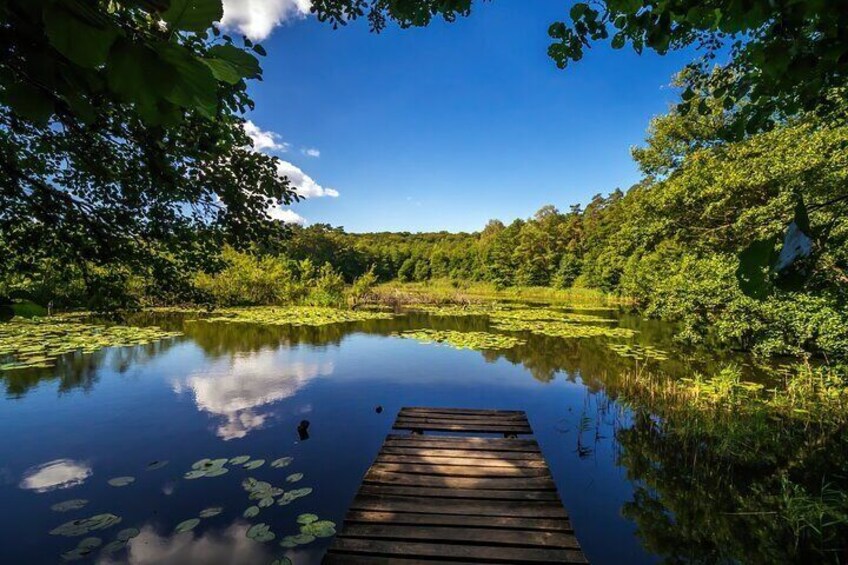 Szczecin Wolin National Park Private Guided Tour