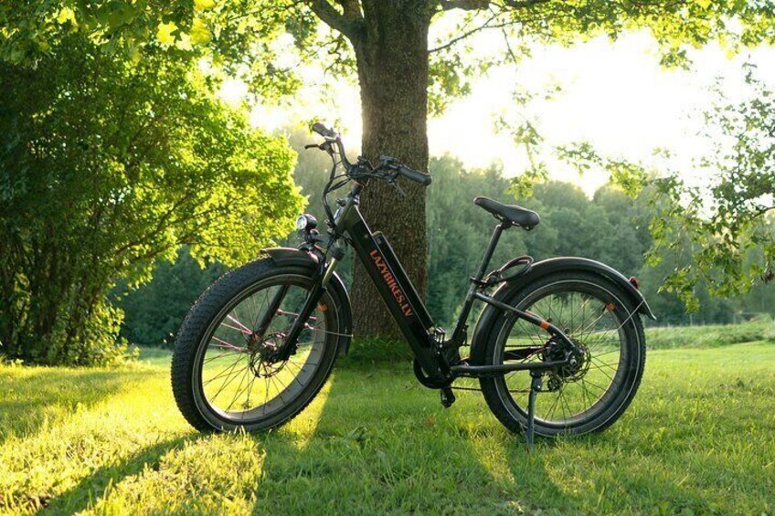 3-Hour Electric Fat Bike Rental