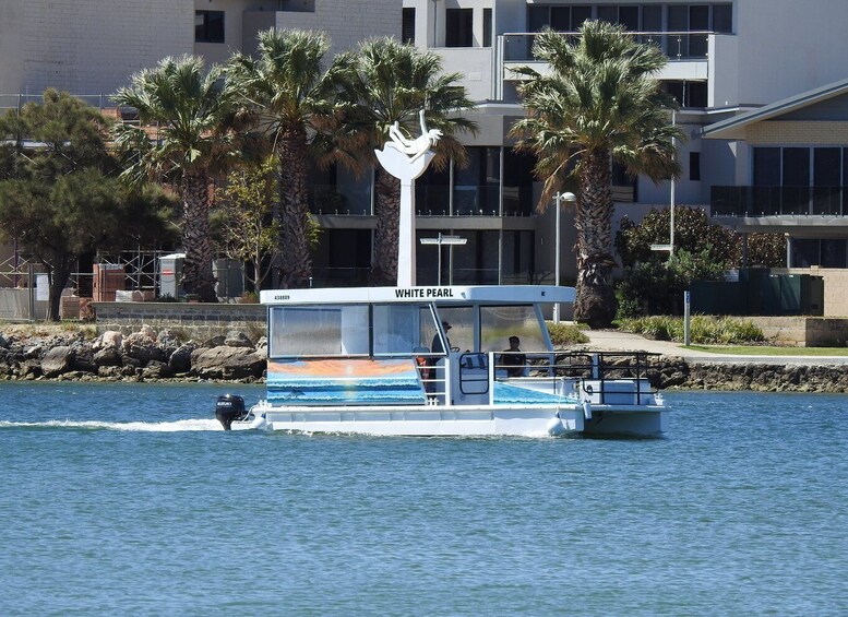 Picture 3 for Activity Mandurah: Sightseeing Dolphin Cruise with Tour Guide