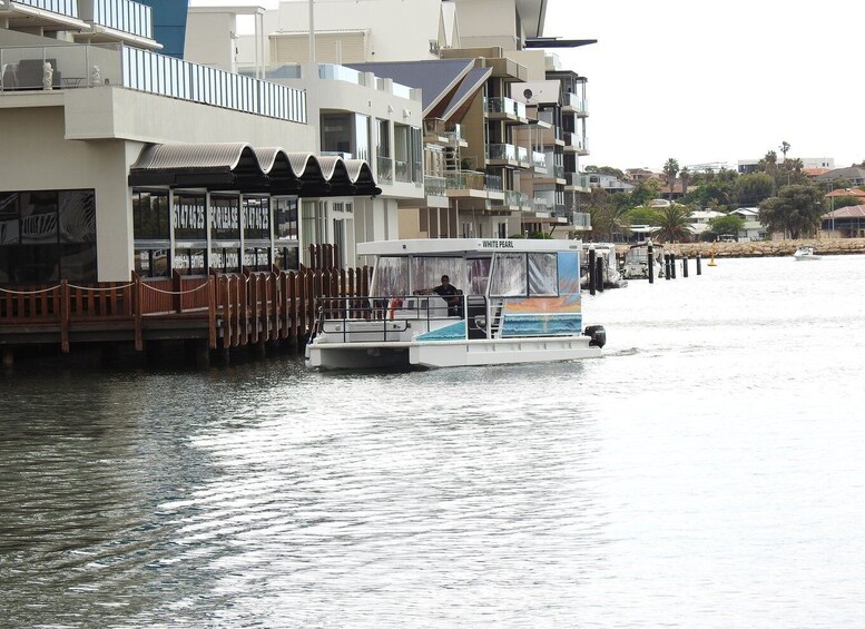 Picture 2 for Activity Mandurah: Sightseeing Dolphin Cruise with Tour Guide