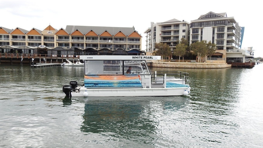 Mandurah: Sightseeing Dolphin Cruise with Tour Guide
