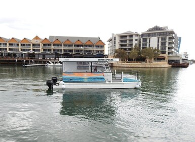 Mandurah: Delfiiniristeily oppaan kanssa