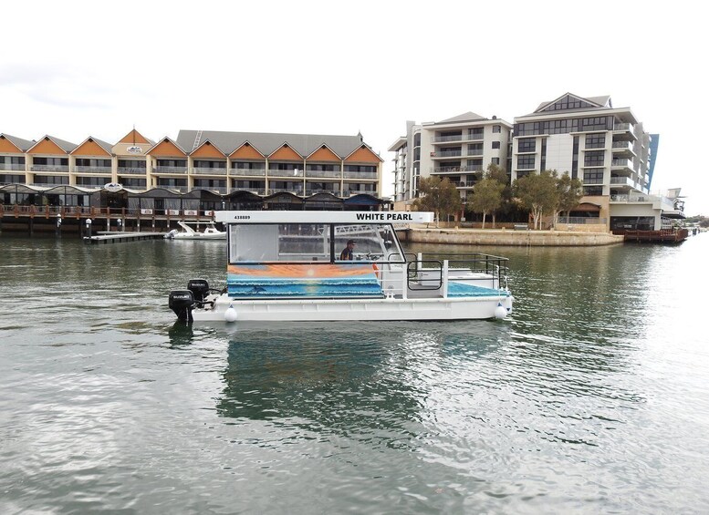 Mandurah: Sightseeing Dolphin Cruise with Tour Guide