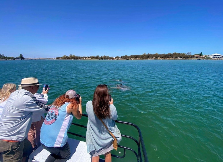 Picture 6 for Activity Mandurah: Sightseeing Dolphin Cruise with Tour Guide