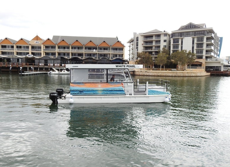 Mandurah: Sightseeing Dolphin Cruise with Tour Guide