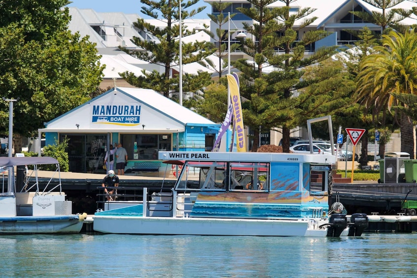 Picture 1 for Activity Mandurah: Sightseeing Dolphin Cruise with Tour Guide