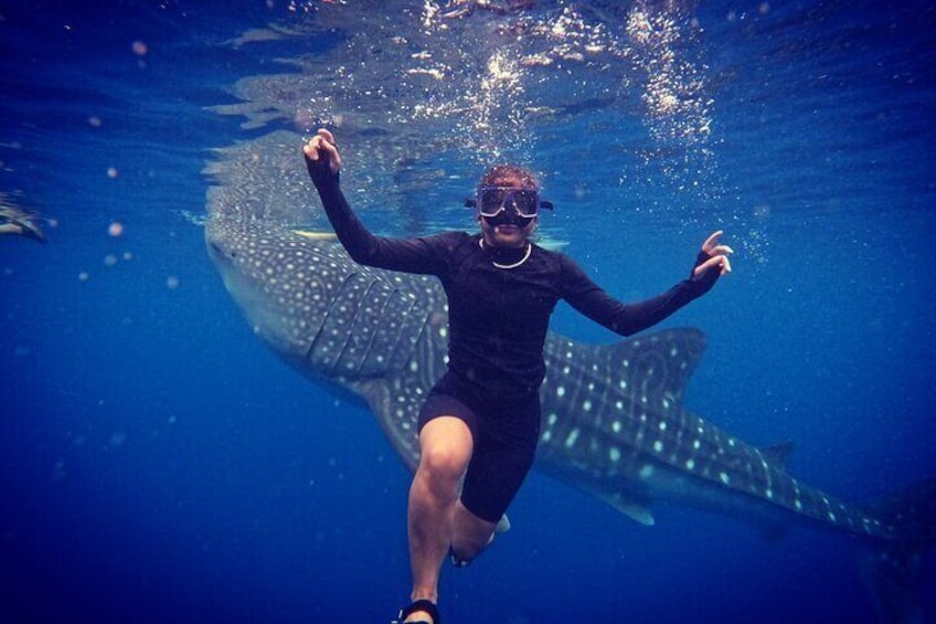 Cebu Oslob Whaleshark and Sumilon Island Full-Day Private Tour