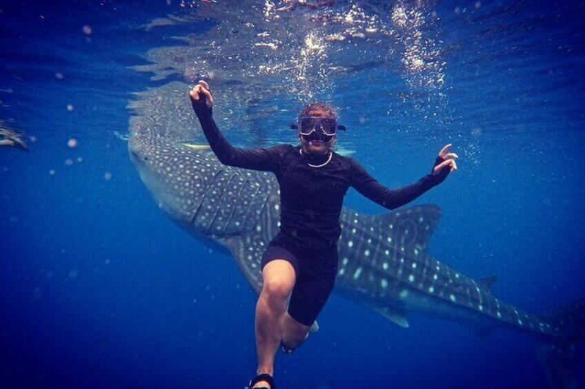 Cebu Oslob Whaleshark and Sumilon Island Full-Day Private Tour