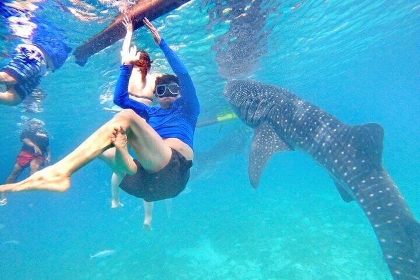 Cebu Oslob Whaleshark and Sumilon Island Full-Day Private Tour