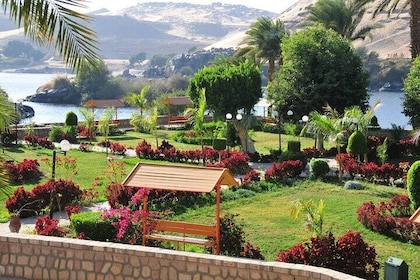 Explore the Botanical garden & Nubian village in Aswan.