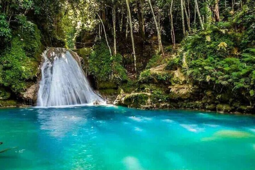 Dunns River Falls, Horseback Riding, Blue Hole & {Secret Falls}