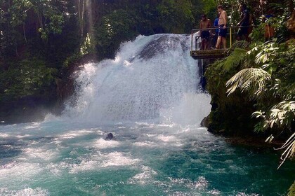 Blue Hole, Secret Falls & River Rapids Tubing from Montego Bay