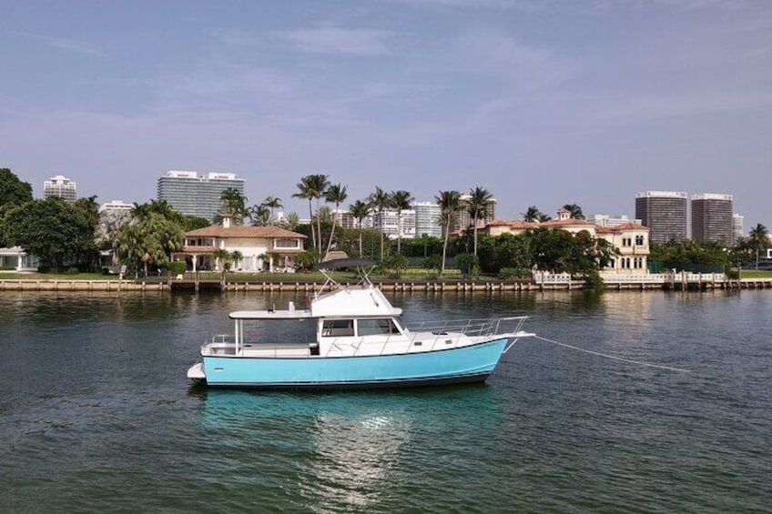 Boat & Yacht Tour Amazing Sandbar Adventure, Water Toys & Snorkel