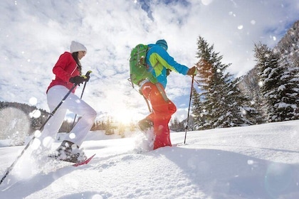 Half Day Guided Snowshoe Tour Near Breckenridge