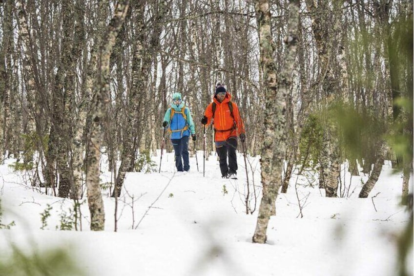 Guided Snowshoe Tour through Pristine Alpine Trails Half Day