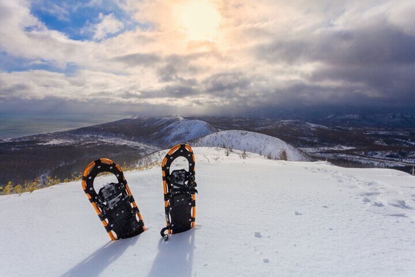 Guided Snowshoe Tour through Pristine Alpine Trails Half Day