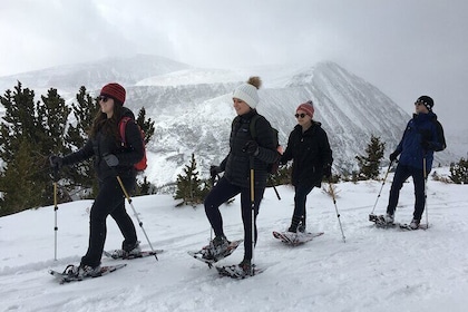 Guided Snowshoe Tour near Breckenridge - Half Day, All Abilities