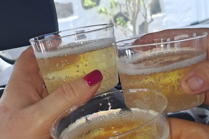 North Tour, Viewpoint, Brunch, White beach & lava pools