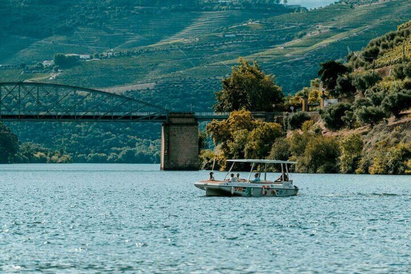 Douro Solar Boat Experience with Wine Tasting